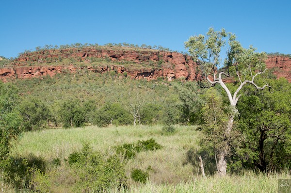 AustraliaAdelaide 10  011